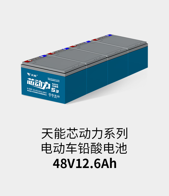 ayx·爱游戏电池48v12ah