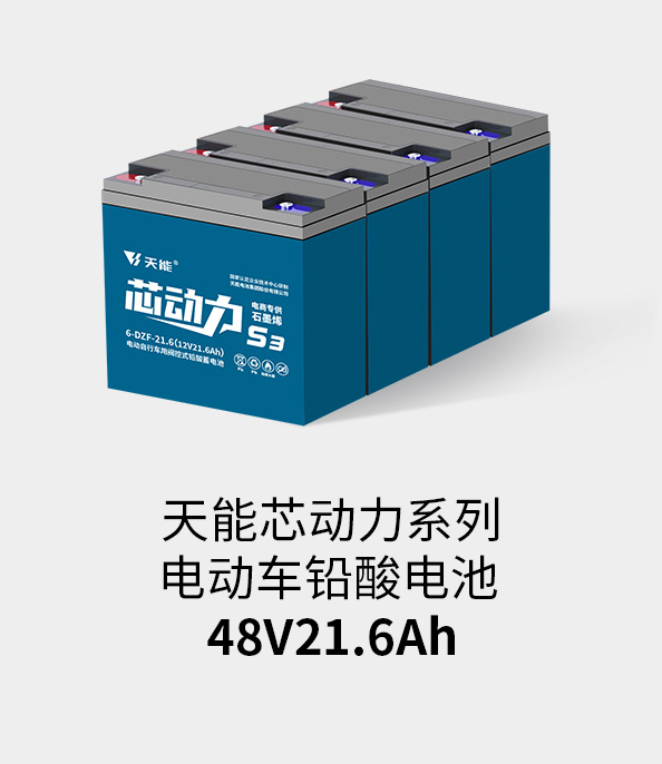 ayx·爱游戏电池48v20ah