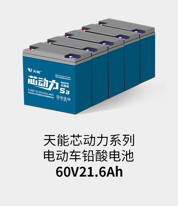 ayx·爱游戏电池60v20ah