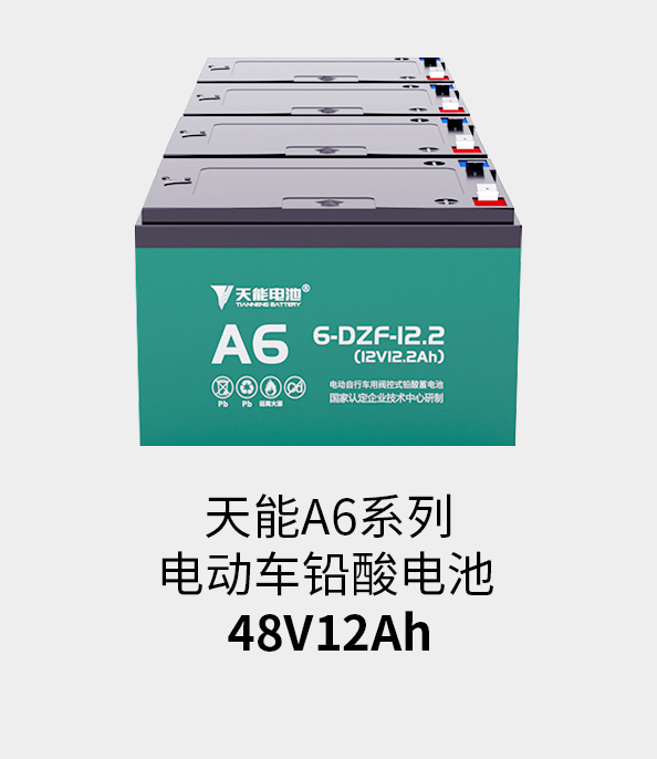 ayx·爱游戏电池48v12ah