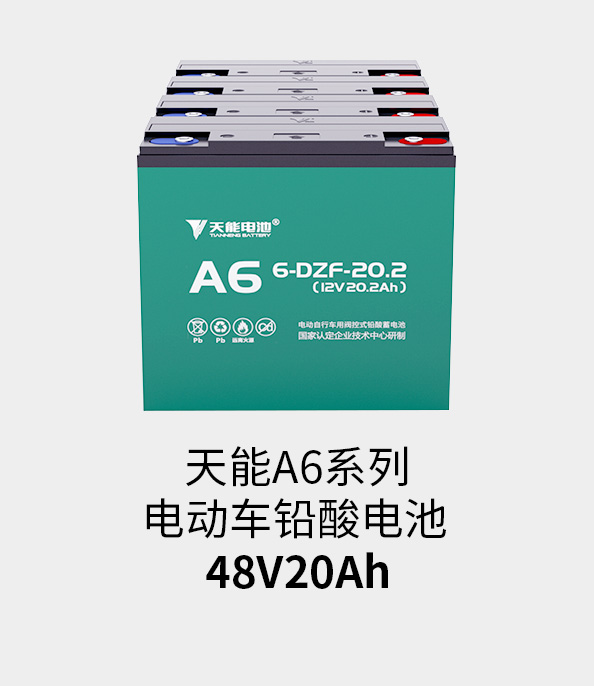 ayx·爱游戏电池48v20ah