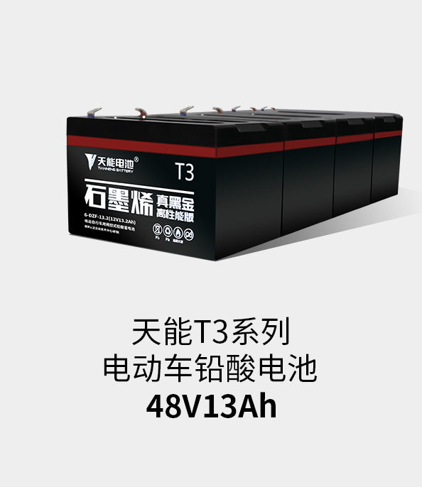 ayx·爱游戏T3系列48v13ah