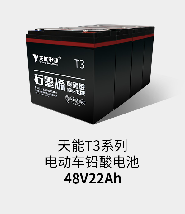 ayx·爱游戏T3系列48v22ah
