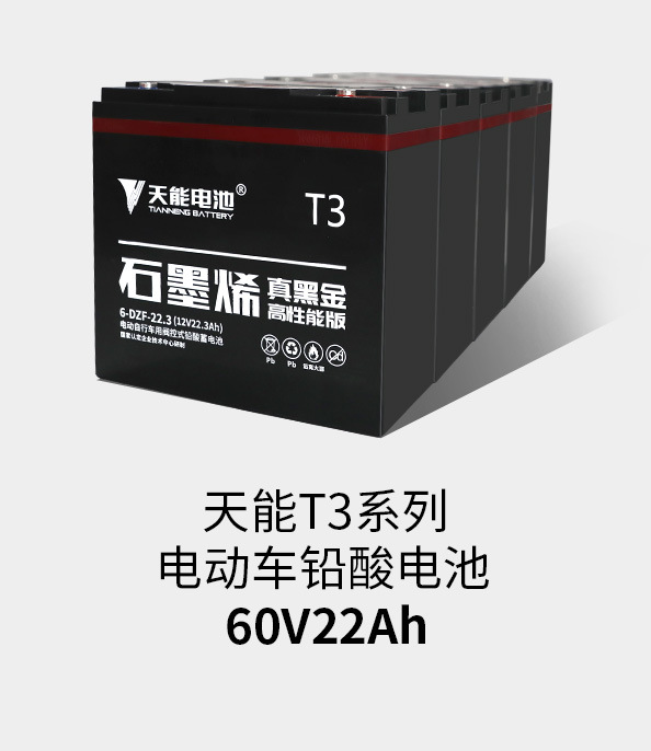ayx·爱游戏T3系列60v22ah