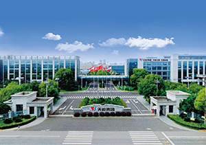 ayx·爱游戏股份介绍