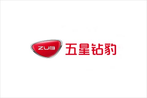 ayx·爱游戏电池合作伙伴 五星钻豹电动车